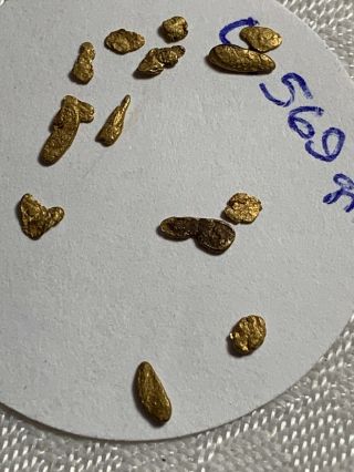 LOVELY GROUP 0.  569 GRAM GOLD NUGGETS COLLECTORS SPECIMENS COLORADO 8