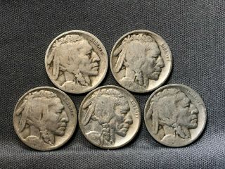 1916 - D,  1918,  1918 - D,  1919,  1919 - D U.  S.  Buffalo Nickels (dt030)