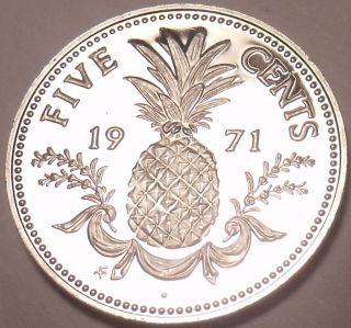 Rare Proof Bahamas 1971 5 Cents Pineapple 1st Year Ever 31,  000 Minted