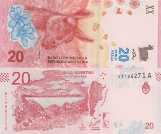 Argentina 20 Pesos (2017) - Guanaco/patagonia/p361 Unc