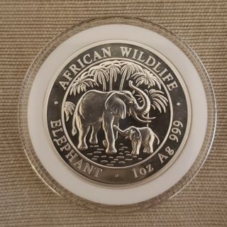 2007 Somalia African Wildlife Elephant 999 Silver 100 Schillings Gem Bu