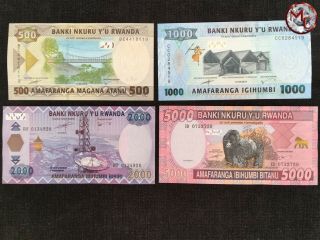 Rwanda - 500,  1000,  2000 & 5000 Francs - 2014/2019 - Pick - 40,  41 & - Unc