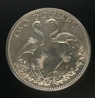 Bahamas,  2 Dollar,  2 Flamingos,  1974,  Silver Unc