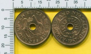 2 Rhodesia & Nyasaland 1/2 Penny 1957 Bronze Coin Unc Giraffe