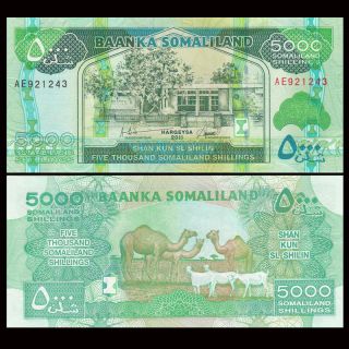 Somaliland 5000 5,  000 Shillings,  2011,  P - 21,  Unc