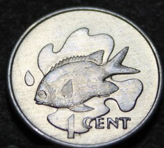 Seychelles Cent,  1977 Gem Unc Boueteur Fish Only Year