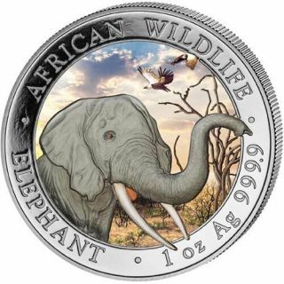 Official Somalia Silver Elephant " Day " - 2018 1 Oz Pure Silver Color Coin In Cap