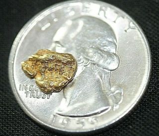 Gold Nugget, .  80 Grams,  Alaska Placer 1 4,  20.  5k To 22k Purity,  Bright,  Shiny