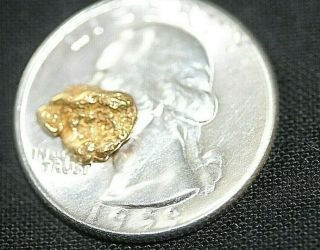 GOLD NUGGET, .  80 GRAMS,  ALASKA PLACER 1 4,  20.  5K TO 22K PURITY,  BRIGHT,  SHINY 3