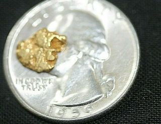 GOLD NUGGET, .  80 GRAMS,  ALASKA PLACER 1 4,  20.  5K TO 22K PURITY,  BRIGHT,  SHINY 4