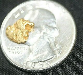 GOLD NUGGET, .  80 GRAMS,  ALASKA PLACER 1 4,  20.  5K TO 22K PURITY,  BRIGHT,  SHINY 5
