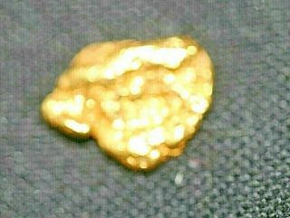 GOLD NUGGET, .  80 GRAMS,  ALASKA PLACER 1 4,  20.  5K TO 22K PURITY,  BRIGHT,  SHINY 7