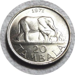 Elf Malawi 20 Tambala 1971 Elephant And Calf