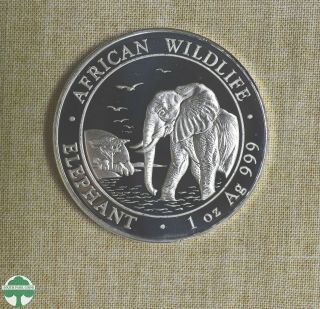2010 Somalia 100 Shillings - African Wildlife - Elephant - 1 Oz 999 Silver