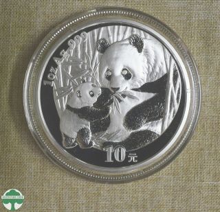 2005 China Panda - 10 Yuan - 1 Oz 999 Silver - Housed In Plastic Capsule