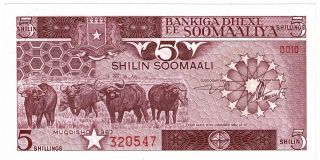 Central Bank Of Somalia 5 Shilin = 5 Shillings 1983 Issue Pick 31a Foreign Note