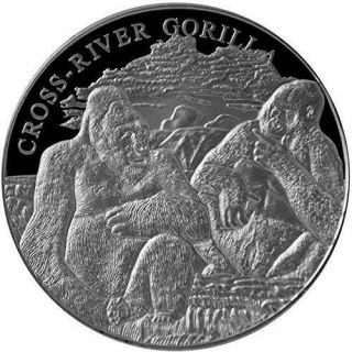 Cameroon 2012 1000 Francs 1 Oz Cross River Gorilla Silver Proof Coin