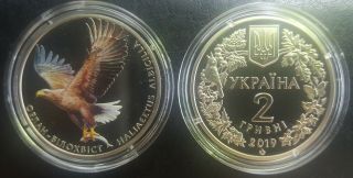 Ukraine,  2 Hryvni 2019 Coin Unc,  The White - Tailed Eagle,  " Haliaeetus Albicilla "