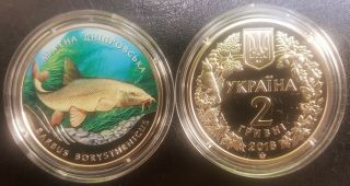 Ukraine,  2 Hryvni 2018 Coin Unc,  Dnieper Barbel " Barbus Borysthenicus "