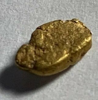 Gold Nugget From Mine In Colorado Gold Picker Natural Gold As Found