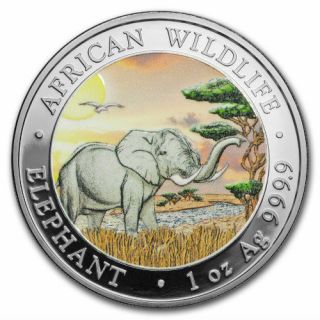 Official Somalia Silver Elephant “day” 2019 1 Oz Pure Silver Color Coin Capsule