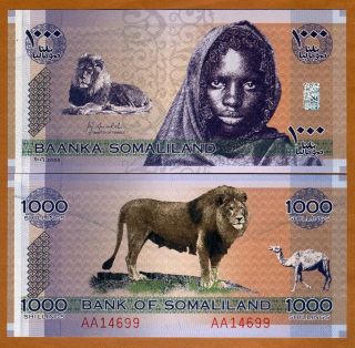Somaliland,  1000 Shillings,  2006,  P - Cs1,  Unc Lion,  Girl
