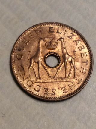 1957 Rhodesia & Nyasaland 1/2 Penny Bronze Coin Unc Giraffe