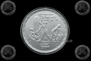 Egypt 1 Pound 1995 (f.  A.  O.  - Fao) Silver Commemorative Coin (km 769) Unc