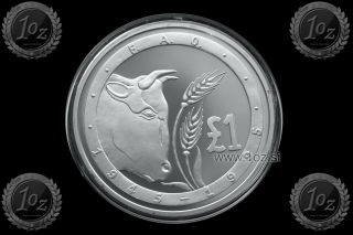 Cyprus 1 Pound 1995 (f.  A.  O.  - Fao) Silver Commemorative Coin (km 70a) Proof