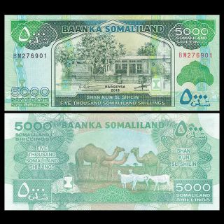 Somaliland 5000 5,  000 Shillings,  2015 (2017),  P - 21c,  Unc