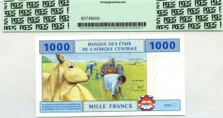 CENTRAL AFRICAN STATES 1000 FRANCS 2002 CAMEROUN GEM UNC PICK 207 U VALUE $67 2