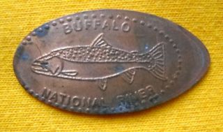 Buffalo National River Elongated Penny Arkansas Usa Cent Trout Souvenir Coin