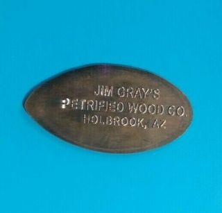 COYOTE CACTUS Jim Gray Petrified Wood Arizona 2 - Sided Elongated Copper Penny 2