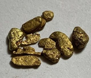 Lovely Group 0.  516 Gram Gold Nuggets Collectors Specimens Colorado