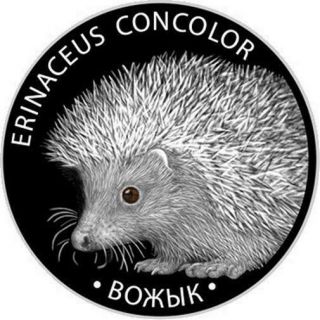 Belarus 2011 20 Rubles Hedgehog 1 Oz Silver Proof Coin With Swarovski Crystal