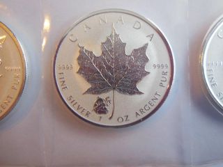 1 Oz Silver Maples 2016 Panda Privy.  9999 Fine Siver Coins,  From Sheet