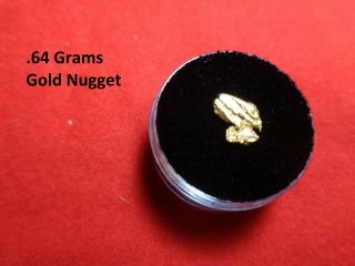 Gold Nugget From The American River.  64 Grams