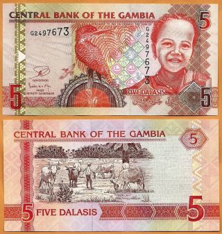 Gambia 2013 Unc 5 Dalasis Banknote Paper Money Bill P - 25 (2)
