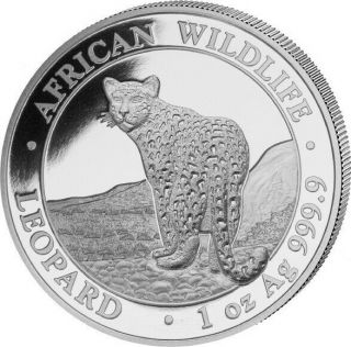 Leopard African Wildlife 1 Oz Silver Coin Somalia 2019 Series