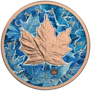 Canada 2017 5$ Maple Leaf " Winter " 1 Oz 9999 Silver Coin