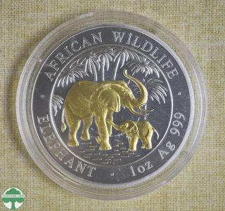 2007 Somalia 100 Shillings Silver Coin W/ Gold Gilt - Elephant - 1 Oz 999 Silver