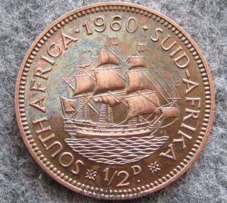South Africa Elizabeth Ii 1960 Half 1/2 Penny,  Sailing Ship Dromedaris,  Unc