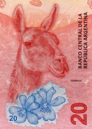 (085) Argentina: 20 Pesos,  Unc,  " Guanaco " Camel,  2017