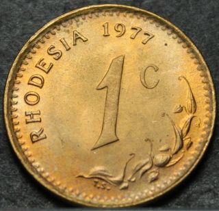 Rhodesia Cent,  1977 Unc Last Year Ever Rare