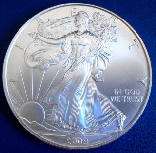 Usa 2009 One Dollar Eagle,  1 Troy Ounce Of Pure Silver,  Capsule - Top Grade