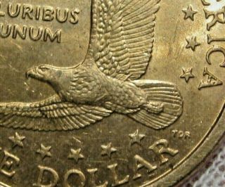 Error: 2000 - P Sacagawea Dollar Wounded Eagle/speared Eagle Variety Error Coin.