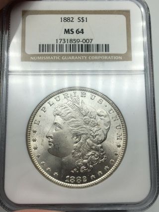 1882 - P Ngc Ms64 Morgan Silver Dollar Gold Rim Toning