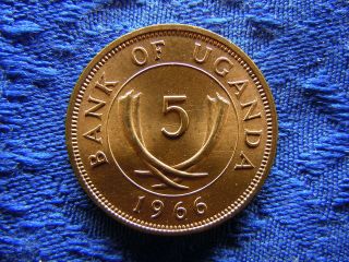 Uganda 5 Cents 1966,  Km1 Unc