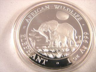 2011 Somalia African Wildlife Elephant W/baby 1 Oz.  999 Silver Bu Coin Capsule