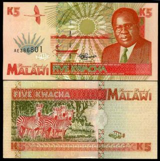 Malawi 5 Kwacha 1995 P 30 Aunc About Unc